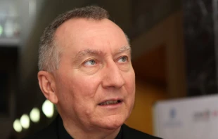 Cardinal Pietro Parolin at the Patristic Institute Augustinianum in Rome, Italy on July 2, 2015.   Bohumil Petrik/CNA.
