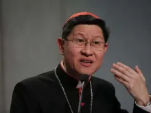 Cardinal Luis Antonio Tagle of Manila, Philippines. 