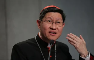 Cardinal Luis Antonio Tagle of Manila, Philippines at a press briefing at the Holy See Press Office during the Synod of Bishops on October 9, 2015. -