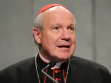 Cardinal Christoph Schönborn, the archbishop of Vienna, pictured in 2015. 