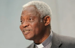 Cardinal Peter Kodwo Appiah Turkson.   Daniel Ibanez/CNA