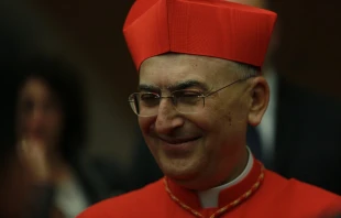 Cardinal Mario Zenari in St. Peter's Basilica on Nov. 19, 2016.   Daniel Ibáñez/CNA.