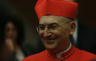 Cardinal Mario Zenari in St. Peter's Basilica on Nov. 19, 2016.   Daniel Ibáñez/CNA.