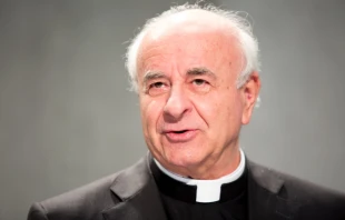 Archbishop Vincenzo Paglia speaks at a press conference.   Daniel Ibáñez/CNA.