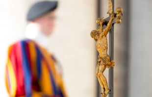 A Swiss Guard at the general audience in St. Peter's Square on Oct. 25, 2017.   Daniel Ibáñez/CNA.