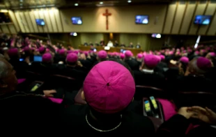 A meeting of bishops in Rome, May 2018.   CNA