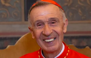 Luis Cardinal Ladaria, prefect of the Congregation for the Doctrine of the Faith, in Rome, June 28, 2018. Credit: Daniel Ibáñez/CNA. 