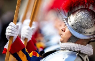The Swiss Guard swearing in ceremony at the Vatican on May 6, 2019. Daniel Ibáñez/CNA.