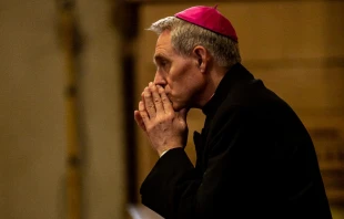 Archbishop Georg Gänswein, pictured March 27, 2019.