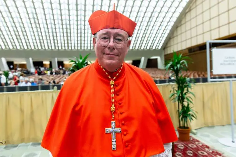 Cardinal Jean-Claude Hollerich, Archbishop of Luxembourg, at the Vatican, Oct. 5, 2019. ?w=200&h=150