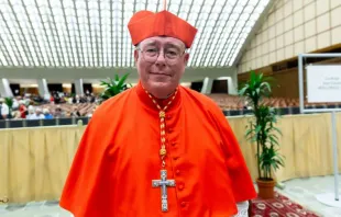 Cardinal Jean-Claude Hollerich, Archbishop of Luxembourg, at the Vatican, Oct. 5, 2019. null