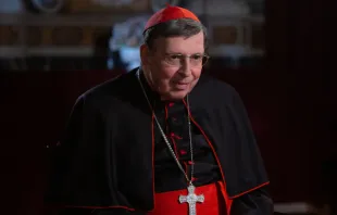 Cardinal Kurt Koch, president of the Pontifical Council for Promoting Christian Unity, in Rome on Oct. 23, 2019. Credit: Daniel Ibáñez/CNA. null