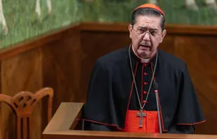 Cardinal Miguel Ángel Ayuso Guixot, MCCJ, President of the Pontifical Council for Interreligious Dialogue.   Daniel Ibáñez/CNA