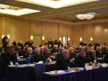Members of the United States Conference of Catholic Bishops gather for their Fall Meeting in Baltimore, Maryland on Nov. 11, 2019. 