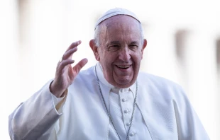 Pope Francis greets pilgrims after the Wednesday general audience in St. Peter's Square, Nov. 27, 2019.   Daniel Ibáñez/CNA.