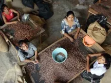Cacao farmers in Peru take part in fair trade. 