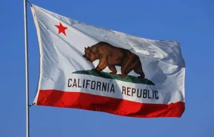 The flag of California.   Joseph Sohm/Shutterstock.
