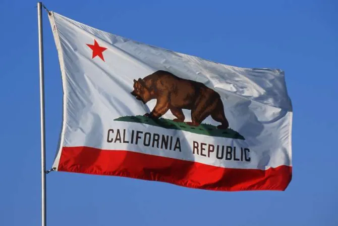 California flag Credit Joseph Sohm Shutterstock CNA