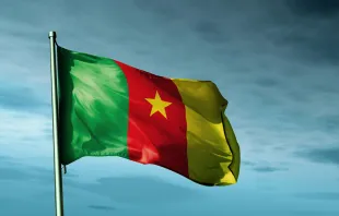 The flag of Cameroon.   Jiri Flogel/Shutterstock.