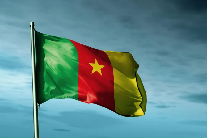 Cameroon flag Credit Jiri Flogel Shutterstock CNA