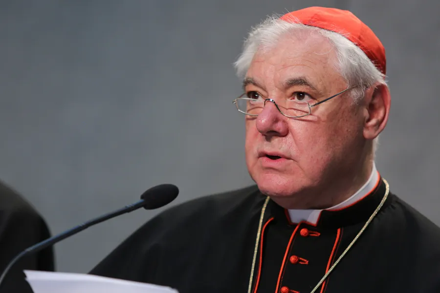 Cardinal Gerhard Müller, then-prefect of the Congregation for the Doctrine of the Faith, speaks at the Vatican June 14, 2016. ?w=200&h=150