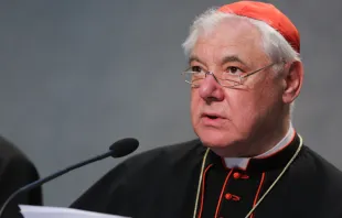 Cardinal Gerhard Müller, prefect emeritus of the Congregation for the Doctrine of the Faith.   Daniel Ibanez/CNA.