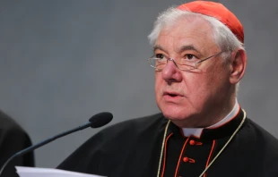 Cardinal Gerhard Ludwig Muller.   Daniel Ibanez/CNA.