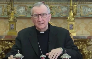 Cardinal Pietro Parolin's video message to Climate Adaptation Summit Jan. 25, 2021. YouTube Screenshot.