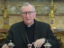 Cardinal Pietro Parolin's video message to Climate Adaptation Summit Jan. 25, 2021. YouTube Screenshot.