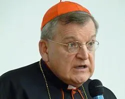 Cardinal Raymond Burke speaks at the Kansas City archdiocese on July 23, 2011?w=200&h=150