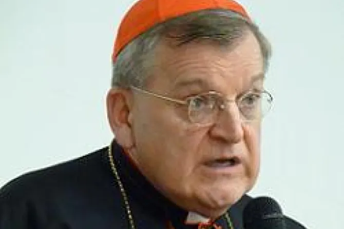 Cardinal Burke CNA