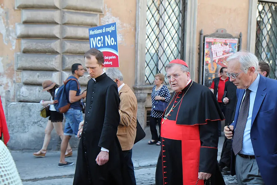 Cardinal Raymond Burke, prefect emeritus of the Apostolic Signatura, at the March for Life in Rome, May 10, 2015. ?w=200&h=150