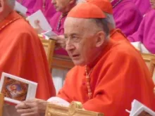 Cardinal Camillo Ruini.