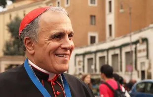 Cardinal Daniel DiNardo.   Bohumil Petrik/CNA.