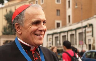 Cardinal Daniel DiNardo.   Bohumil Petrik/CNA.