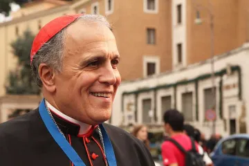 Cardinal Daniel DiNardo Credit Bohumil Petrik CNA
