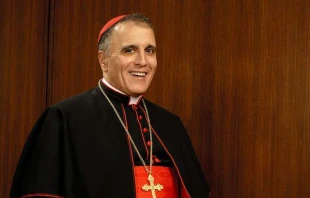 Cardinal Daniel DiNardo.   Archdiocese of Galveston Houston.