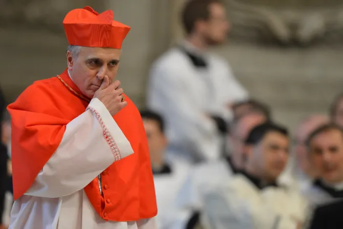 Cardinal Daniel DiNardo at the Vatican in 2013 Credit  Gabriel Bouys   AFP   Getty Images