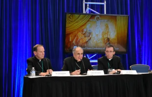 Cardinal Daniel DiNardo of Galveston-Houston (C) speaks at a press conference during the USCCB autumn general assembly in Baltimore, Nov. 11 2019.   Christine Rousselle/CNA.