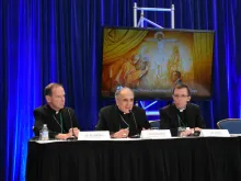 Cardinal Daniel DiNardo of Galveston-Houston (C) speaks at a press conference during the USCCB autumn general assembly in Baltimore, Nov. 11 2019. 