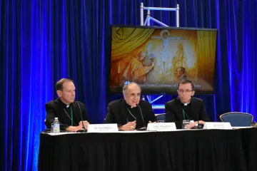 Cardinal Daniel DiNardo of Galveston Houston C speaks at a press conference during the USCCB autumn general assembly in Baltimore Nov 11 2019 Credit Christine Rousselle CNA