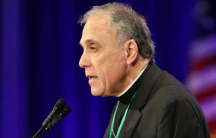 Cardinal Daniel DiNardo of Galveston-Houston addresses the USCCB autumn General Assembly in Baltimore, Nov. 12, 2018. (CNS photo/Bob Roller)