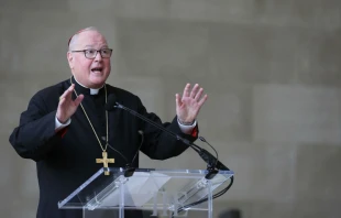 Cardinal Timothy Dolan at Met Gala.   Jemal Countess/ Getty Imahes