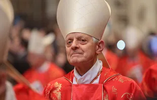Cardinal Donald Wuerl.   Archdiocese of Boston vial Flickr CC BY NC 2.0