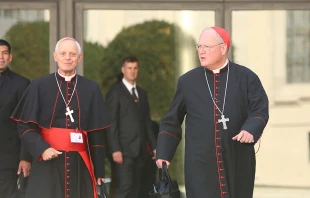Cardinals Donald Wuerl and Timothy Dolan leave the Vatican's Synod Hall, Oct. 10, 2014.   Daniel Ibanez/CNA.