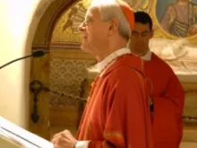 Cardinal Donald Wuerl gives a homily during Mass at tomb of St Peter, January 16, 2011.