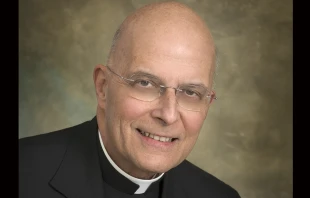 Cardinal Francis George.