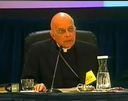 Cardinal Francis George speaks to the assembly of bishops on Nov. 15?w=200&h=150