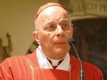 Cardinal Francis George delivers a homily at the tomb of St. Peter in February 2012.