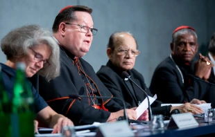 Cardinal Gerald Lacroix of Quebec speaks at a press briefing on the synod at the Holy See press office, Oct. 9, 2018.   Daniel Ibanez/CNA.